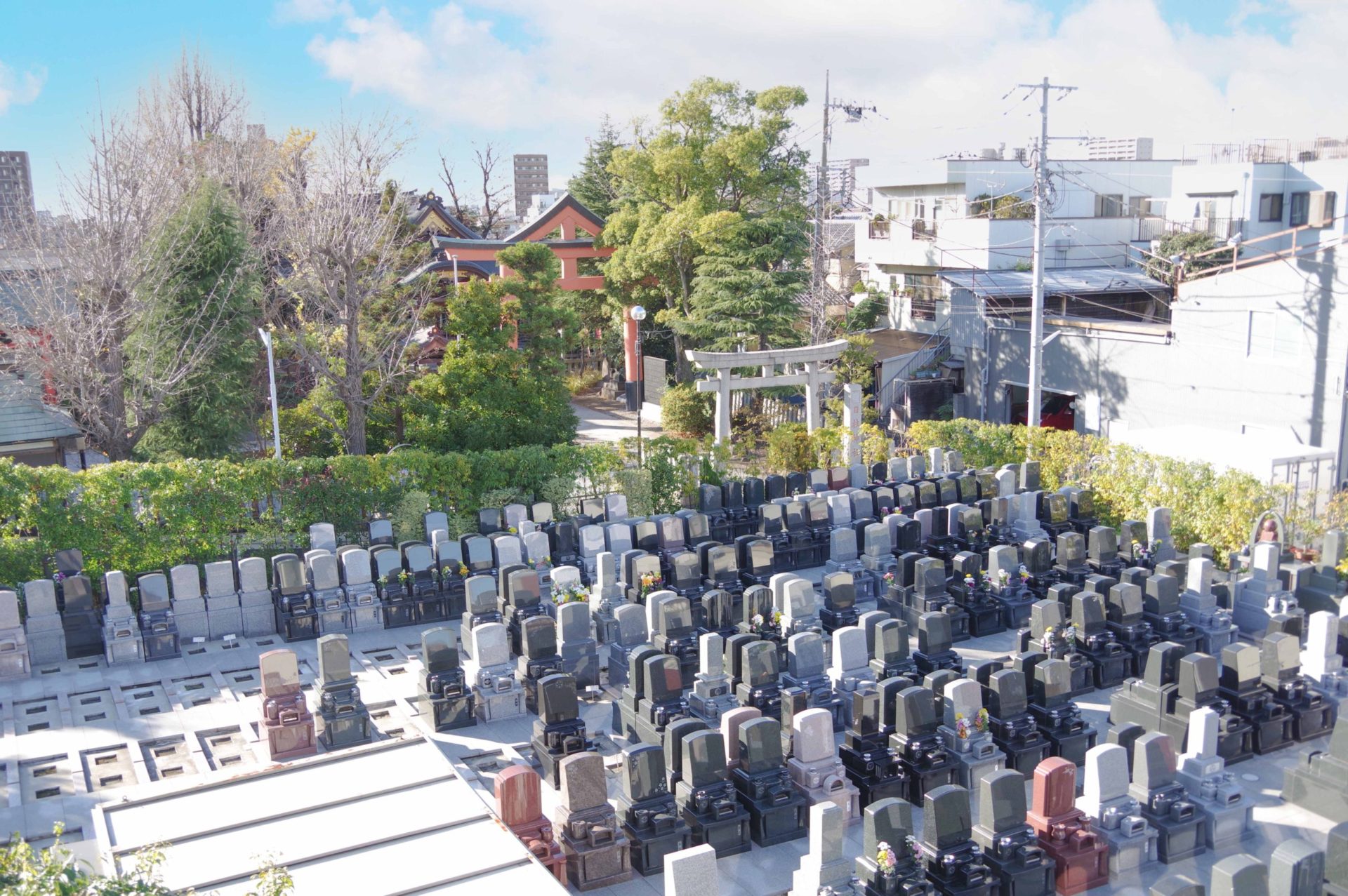 グリーンパーク新宿